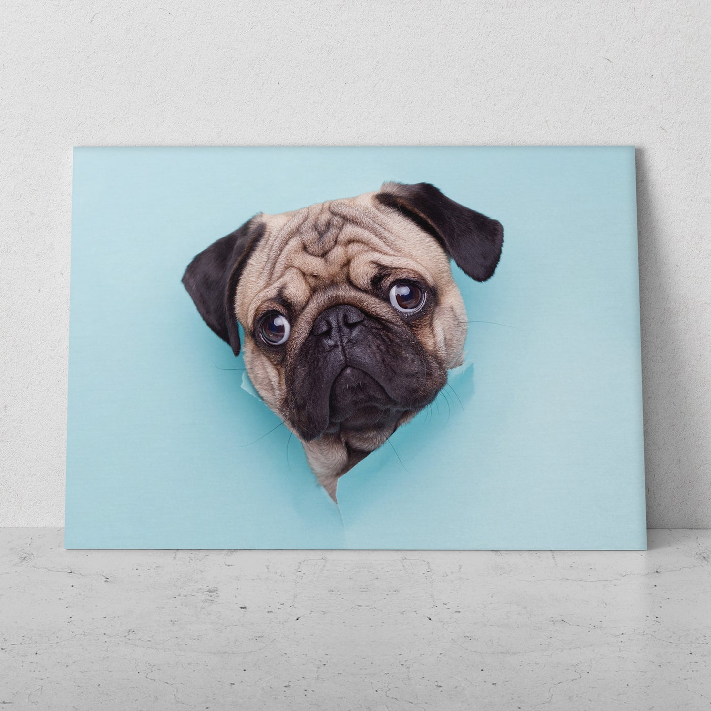 Pug Sorpresa (Horizontal) #AN06_177