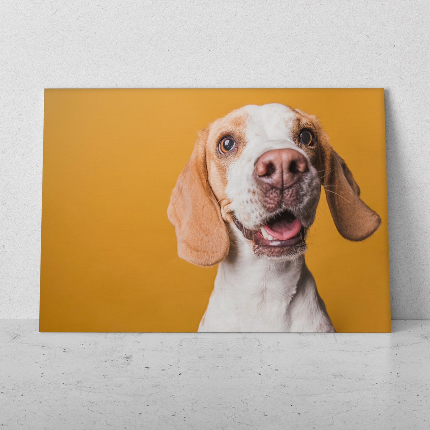 Perro feliz (Horizontal) #AN06_182