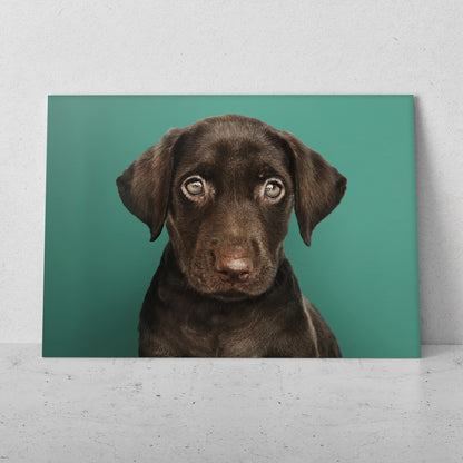 Perro irresistible (Horizontal) #AN06_183