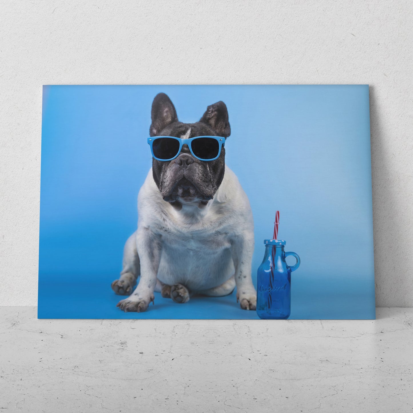 Bulldog inglés cool (Horizontal) #AN06_185