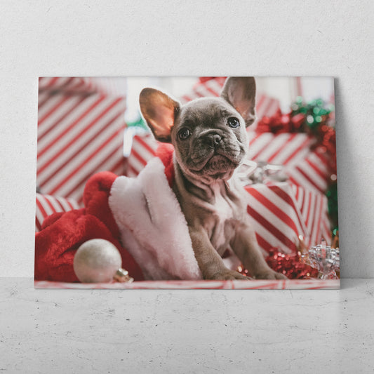 Cachorro navideño  (Horizontal) #AN06_208