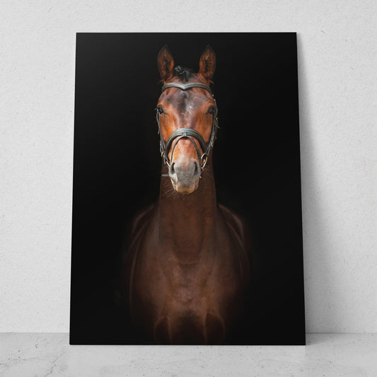 Caballo de frente (Vertical) #AN07_01