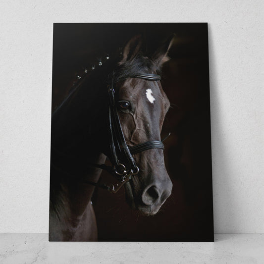 Caballo con rienda (Vertical) #AN07_03