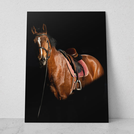Caballo ensillado (Vertical) #AN07_05