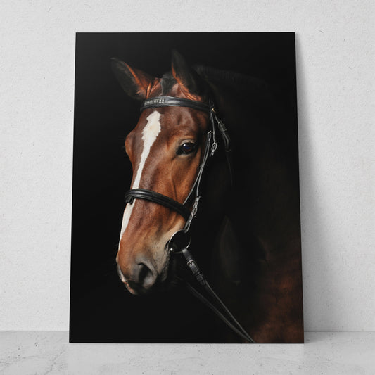 Caballo café con rienda (Vertical) #AN07_06