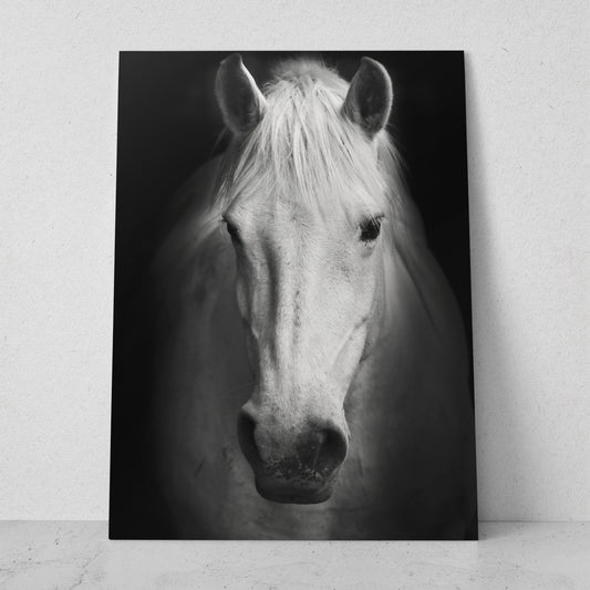 Caballo blanco de frente (Vertical) #AN07_10