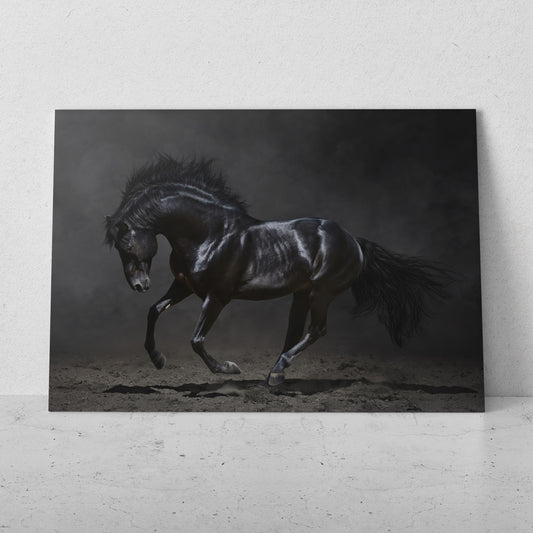 Caballo negro bailando (Horizontal) #AN07_21