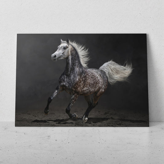 Caballo pinto bailando (Horizontal) #AN07_22
