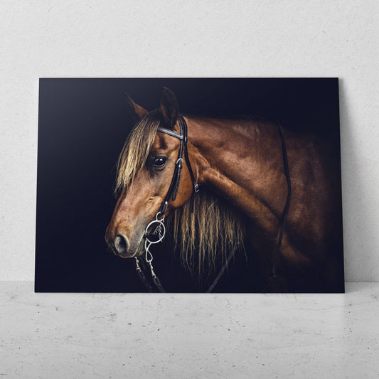 Retrato de caballo (Horizontal) #AN07_23