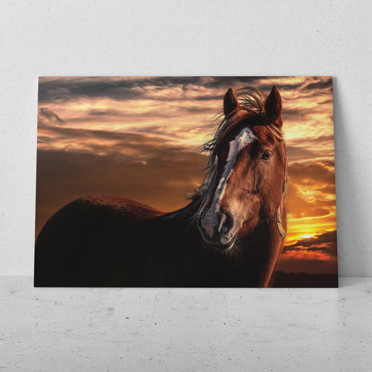 Caballo al atardecer (Horizontal) #AN07_27