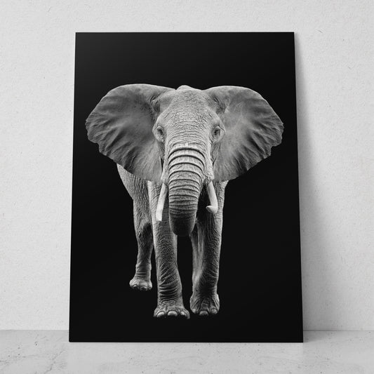 Retrato elefante (Vertical) #AN10_01
