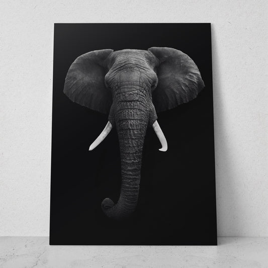 Retrato elefante africano (Vertical) #AN10_02