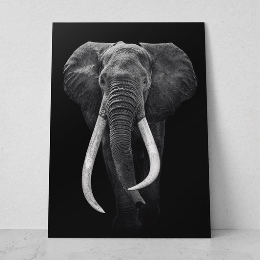 Elefante colmillos grandes (Vertical) #AN10_03