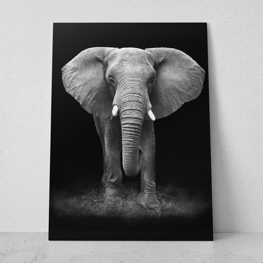 Elefante colmillos cortos (Vertical) #AN10_04