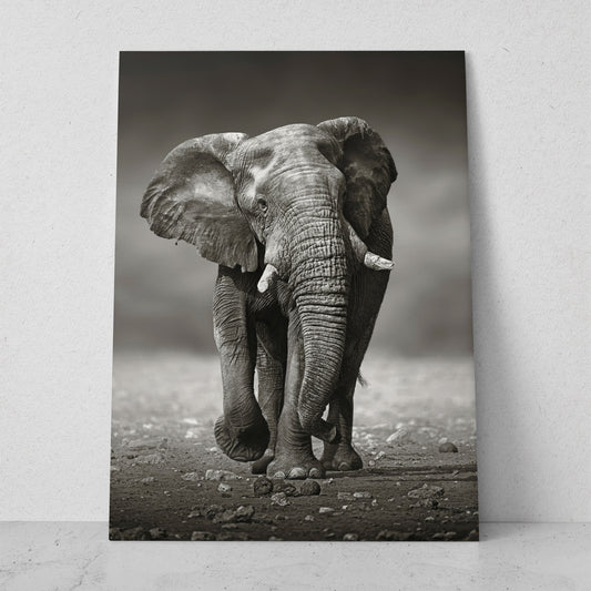 Elefante caminando (Vertical) #AN10_05
