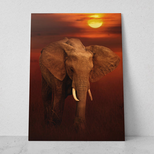 Elefante en el atardecer (Vertical) #AN10_06