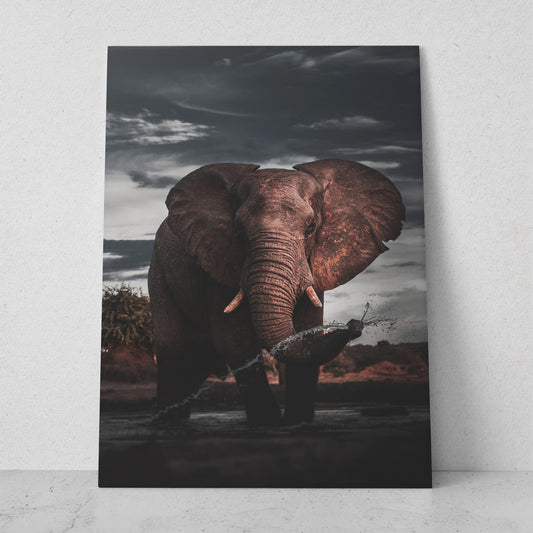 Elefante bañándose (Vertical) #AN10_07