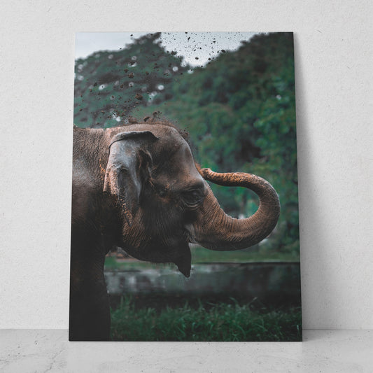 Elefante asiático (Vertical) #AN10_08