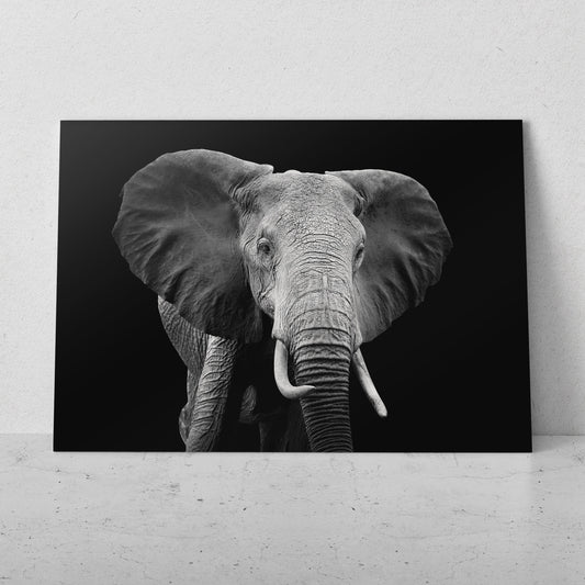 Retrato de elefante (Horizontal) #AN10_11