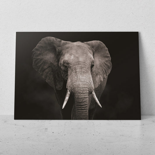 Retrato de elefante colmillos grandes (Horizontal) #AN10_12