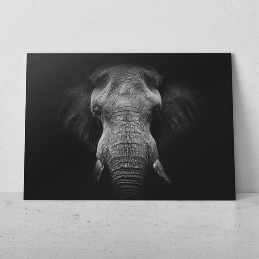 Retrato de elefante fondo negro (Horizontal) #AN10_13