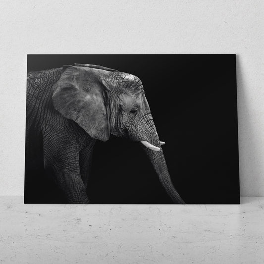 Elefante de perfil (Horizontal) #AN10_14