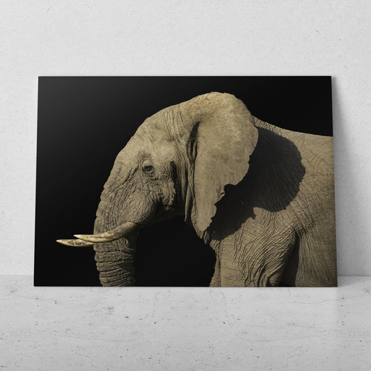 Elefante de perfil claro (Horizontal) #AN10_15