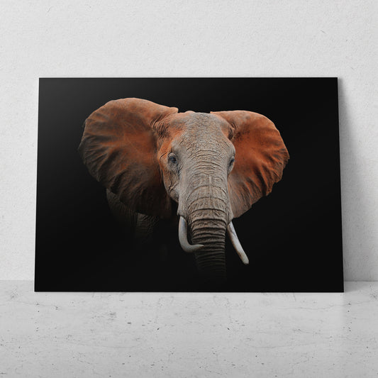 Elefante orejas rojas (Horizontal) #AN10_16