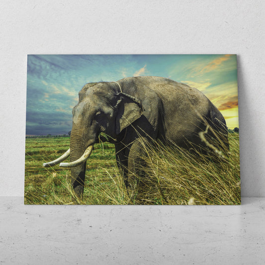 Elefante en la pradera (Horizontal) #AN10_27
