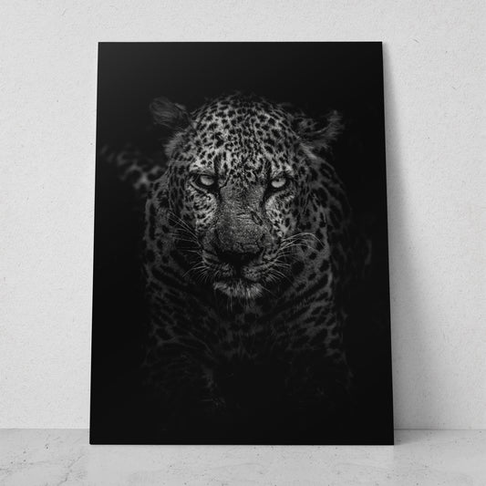 Leopardo en la oscuridad (Vertical) #AN11_01