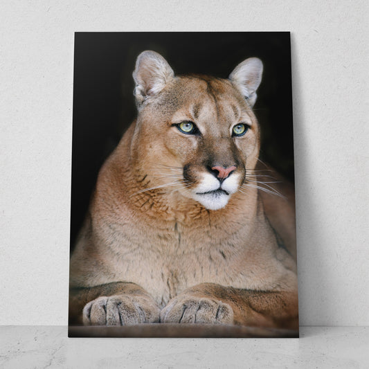 Puma acostado (Vertical) #AN11_04