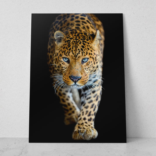 Leopardo caminando (Vertical) #AN11_05