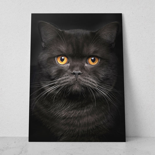 Gato negro con ojos naranjas (Vertical) #AN12_001
