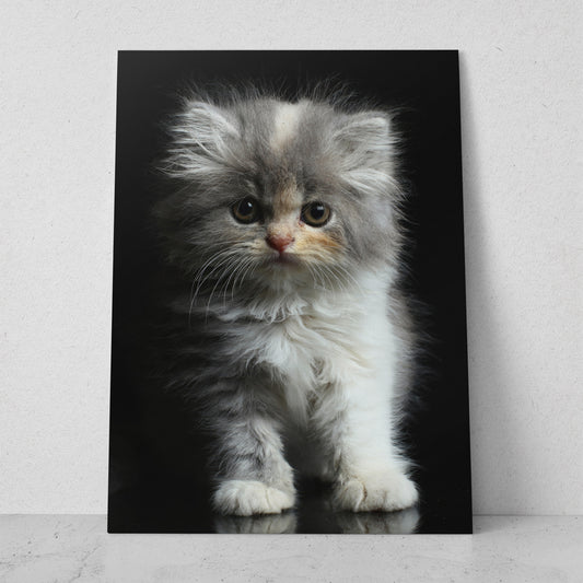 Gato bebé (Vertical) #AN12_012