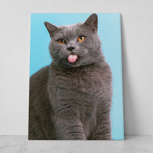 Gato sacando la lengua (Vertical) #AN12_015