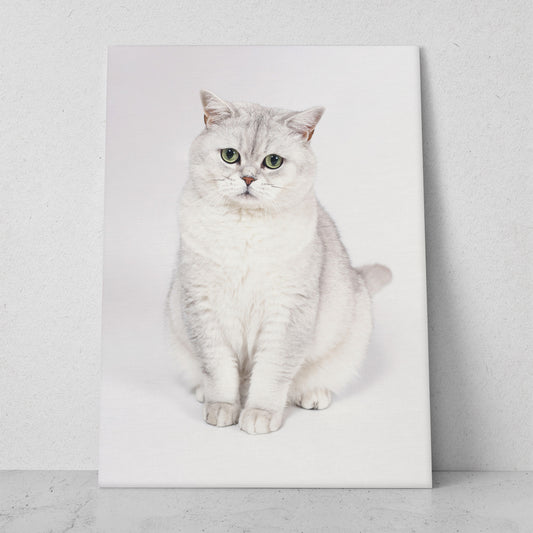 Retrato gato blanco (Vertical) #AN12_016