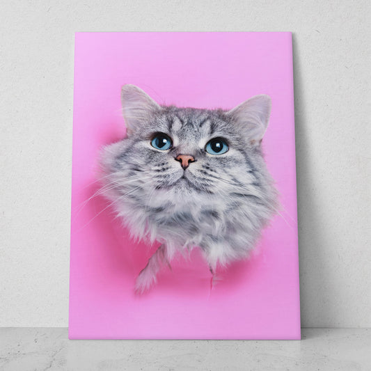 Foto de gato gris (Vertical) #AN12_025