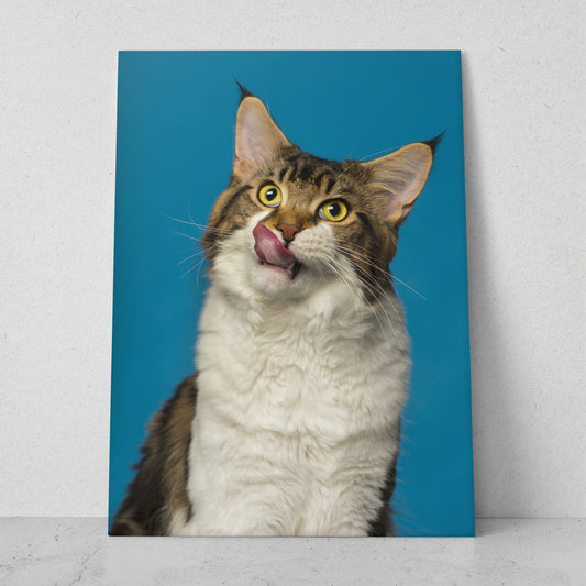 ¡Gracias por la comida! Gato (Vertical) #AN12_053