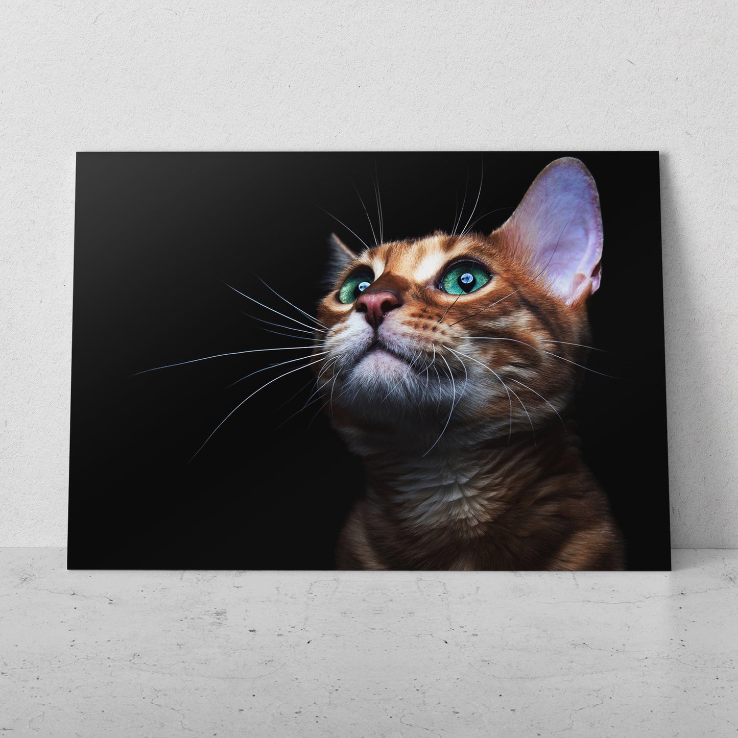 Gato pensando (Horizontal) #AN12_112