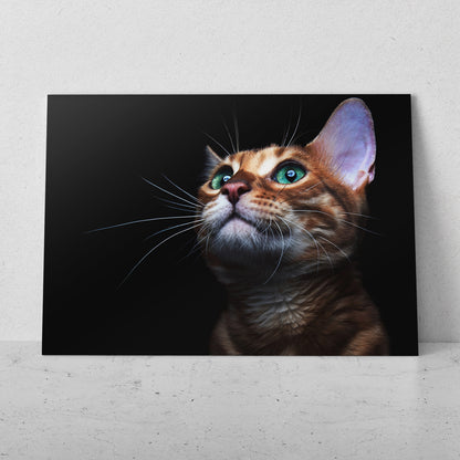 Gato pensando (Horizontal) #AN12_112