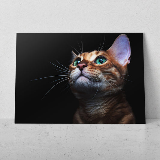 Gato pensando (Horizontal) #AN12_112