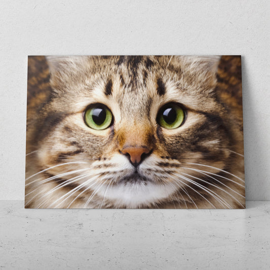 Retrato de gato pinto (Horizontal) #AN12_117