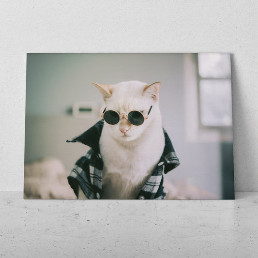Gatito rockstar (Horizontal) #AN12_125