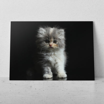 Gatito bebé (Horizontal) #AN12_126