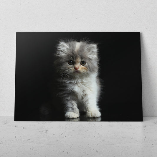 Gatito bebé (Horizontal) #AN12_126