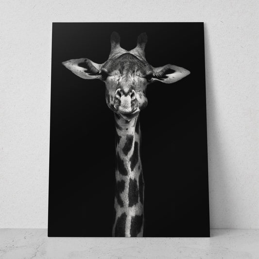 Jirafa de frente (Vertical) #AN13_01