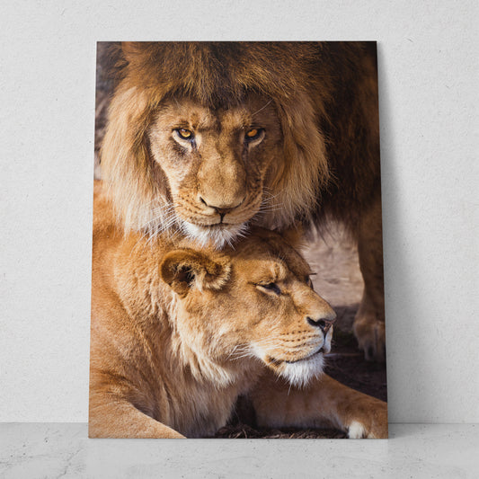 Pareja de leones (Vertical) #AN14_021