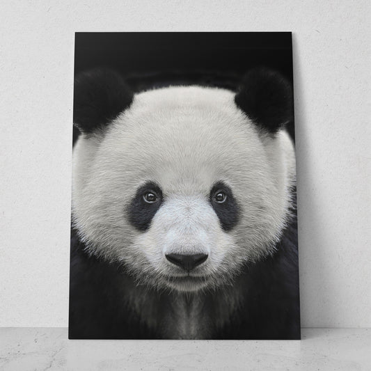 Retrato de panda (Vertical) #AN17_01