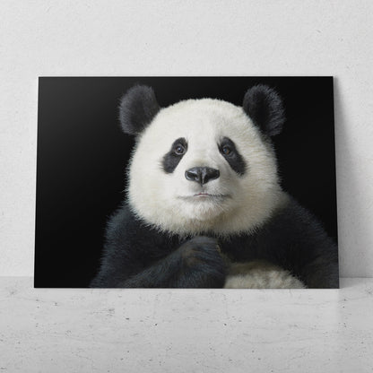 Retrato de oso panda (Horizontal) #AN17_08
