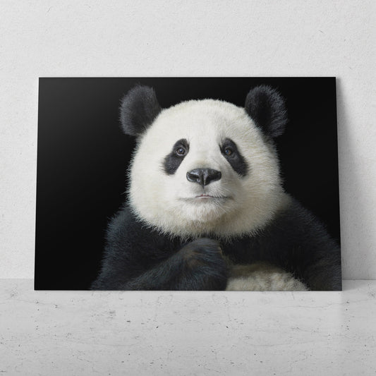 Retrato de oso panda (Horizontal) #AN17_08